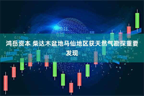 鸿岳资本 柴达木盆地马仙地区获天然气勘探重要发现