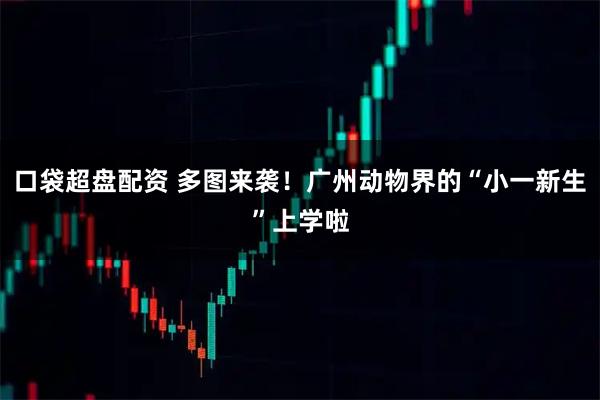 口袋超盘配资 多图来袭！广州动物界的“小一新生”上学啦
