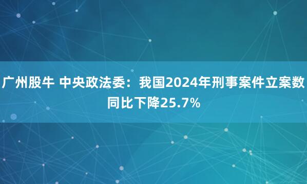 广州股牛 中央政法委：我国2024年刑事案件立案数同比下降25.7%